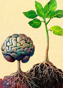 A painted plant growing beside a brain-shaped root system.