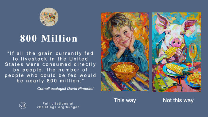 Graphic stating “800 Million,” with a quote explaining that if all grain currently fed to livestock in the United States were consumed directly by people, nearly 800 million people could be fed, attributed to Cornell ecologist David Pimentel, and noting that full citations are at vBriefings.org/hunger. To the right are two stylized images: a smiling child with a bowl of corn labeled “This way,” and a pig eating corn at a table labeled “Not this way,” contrasting direct human consumption with feeding crops to animals.