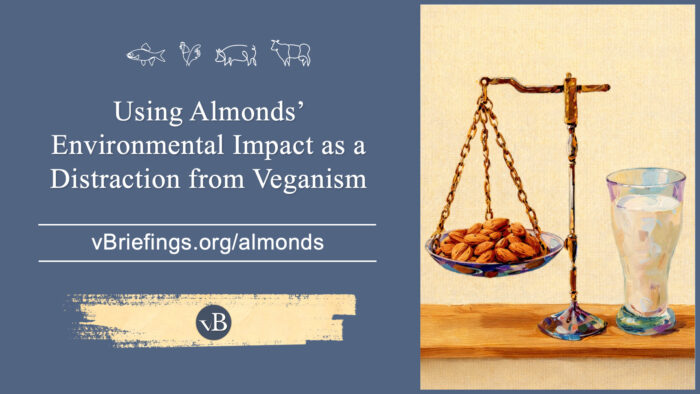 A graphic showing the title “Using Almonds’ Environmental Impact as a Detraction from Veganism” and the URL vbriefings.org/almonds on the left, alongside a painterly illustration of a balance scale weighing a bowl of almonds against a glass of water
