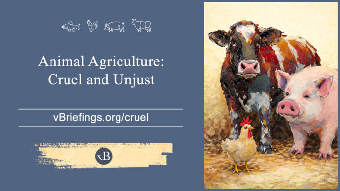 A graphic with small line-art animal icons across the top and the text “Animal Agriculture: Cruel and Unjust” with the URL vBriefings.org/cruel on a blue background, and a painted image on the right of a cow, pig, and chicken standing together.