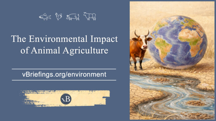 A graphic with small line-art animal icons across the top and the text “The Environmental Impact of Animal Agriculture” with the URL vBriefings.org/environment on a blue background, and on the right a painted scene of a cow standing beside a globe over dry, cracked land with a winding stream.