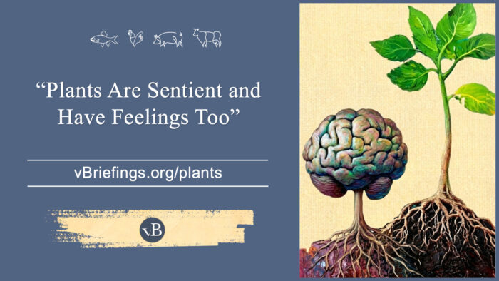 A graphic with small line-art animal icons across the top and the text “Plants Are Sentient and Have Feelings Too” with the URL vBriefings.org/plants on a blue background, and on the right a painted plant growing beside a brain-shaped root system.
